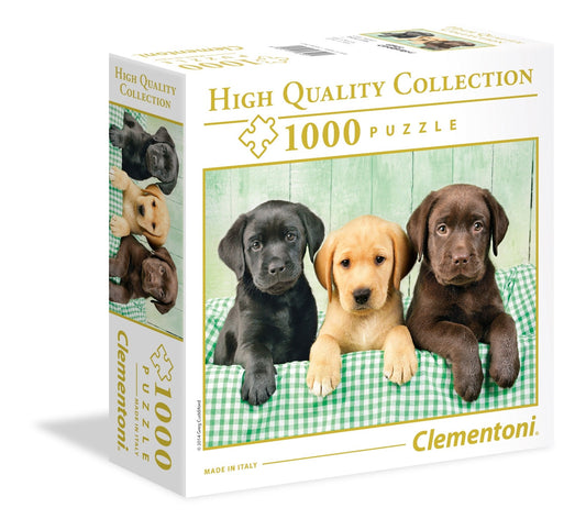 CLE 1000 PC | THREE LABRADORS (SQ BOX)