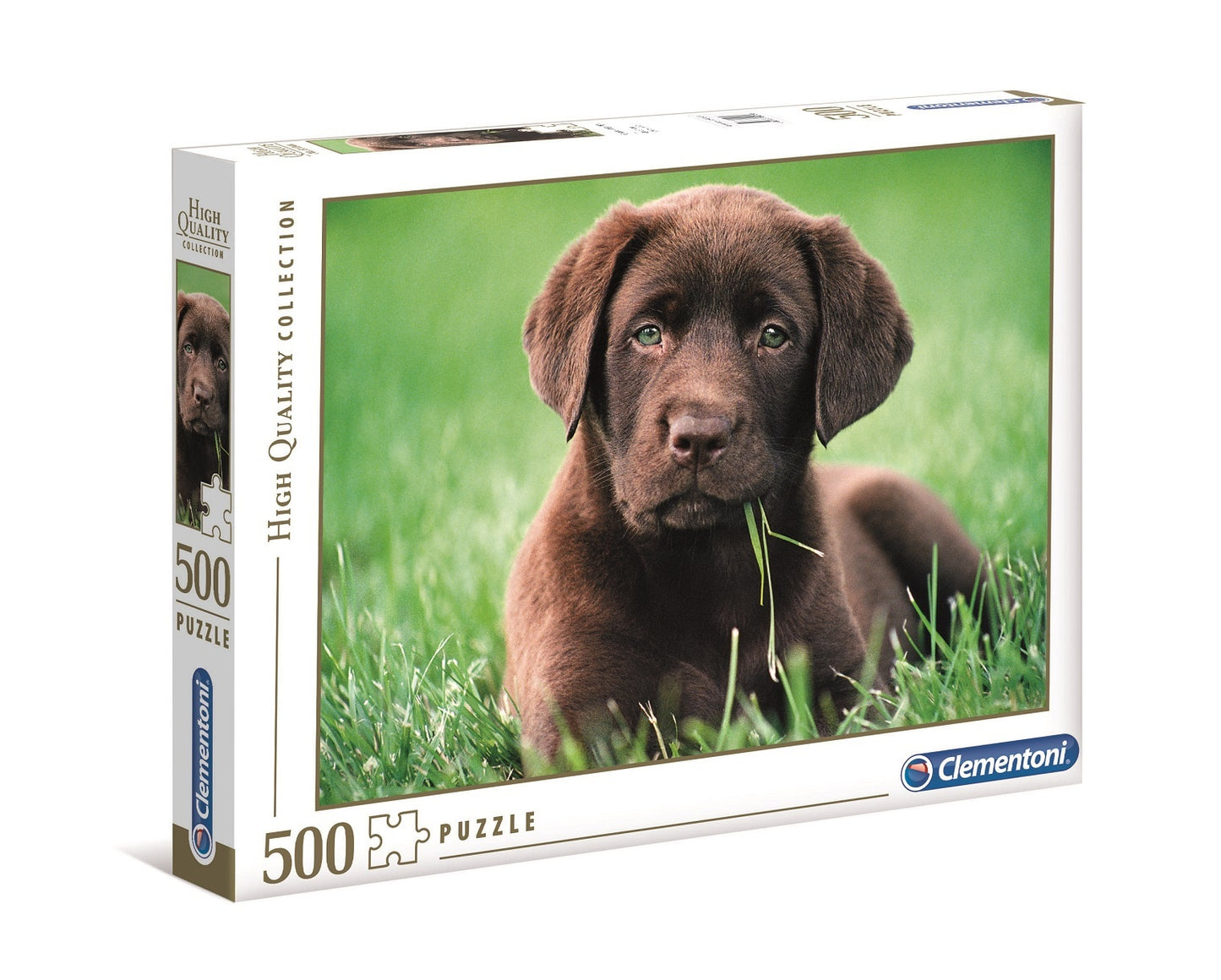 CLE 500 PC | CHOCOLATE PUPPY