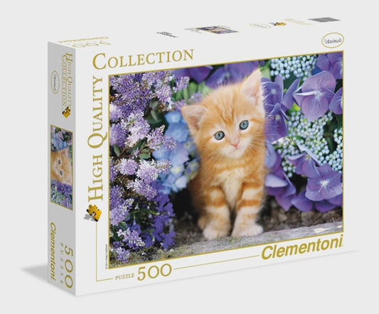 CLE 500 PC | GINGER CAT IN FLOWERS