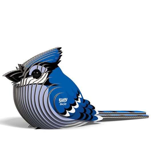 EUGY | BLUE JAY