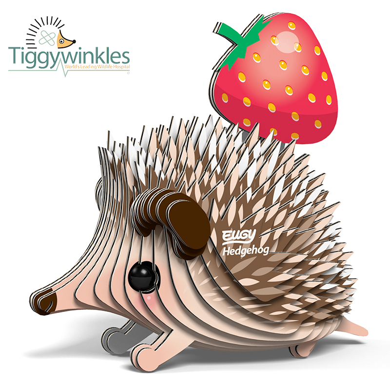 EUGY | HEDGEHOG