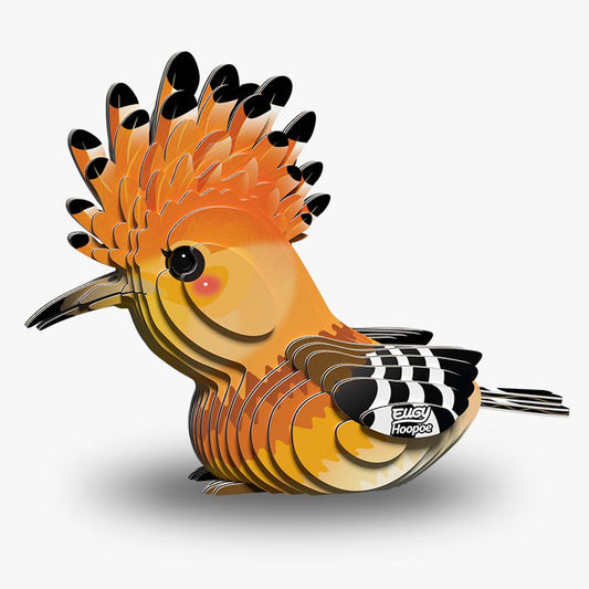 EUGY | HOOPOE