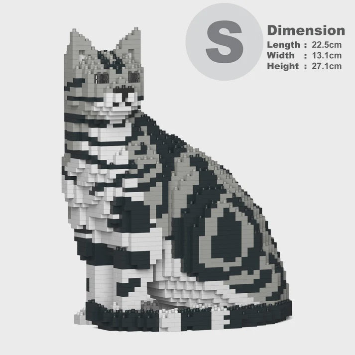 JEKCA | AMERICAN SHORTHAIR CAT 01S M01