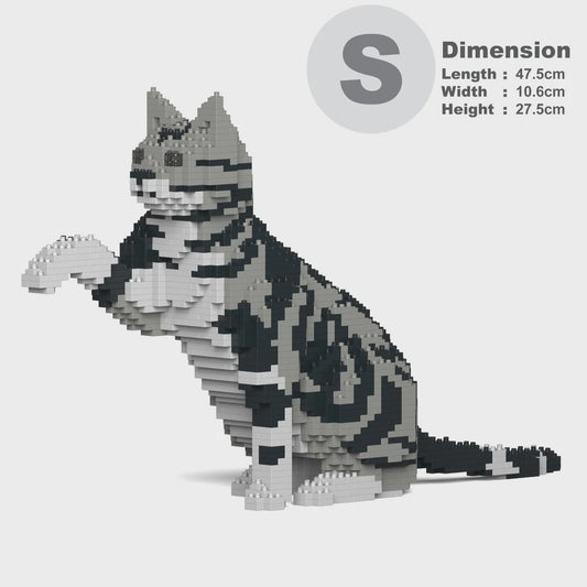 JEKCA | AMERICAN SHORTHAIR CAT 03S M01