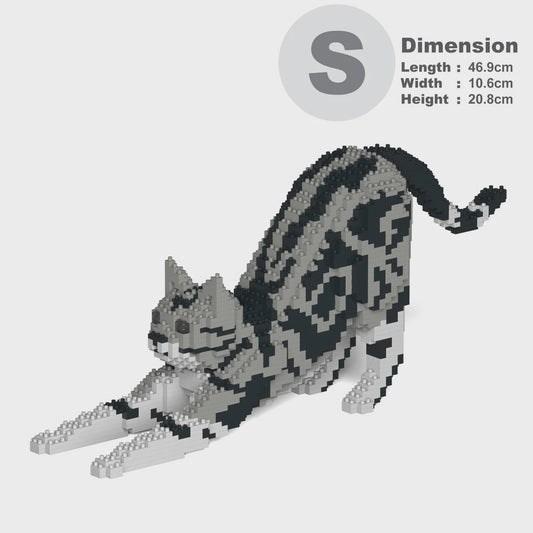 JEKCA | AMERICAN SHORTHAIR CAT 04S M01