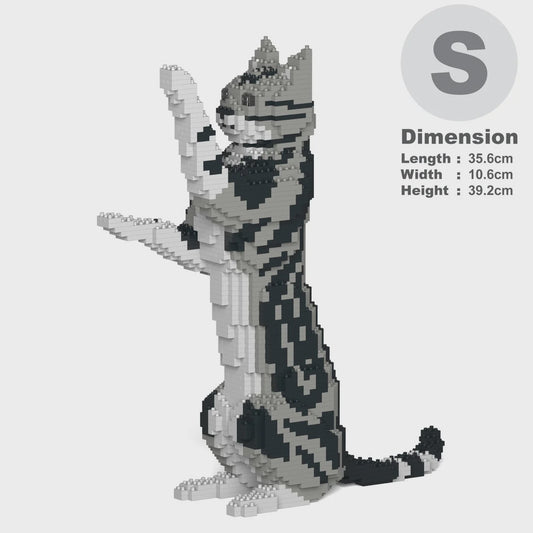 JEKCA | AMERICAN SHORTHAIR CAT 05S M01