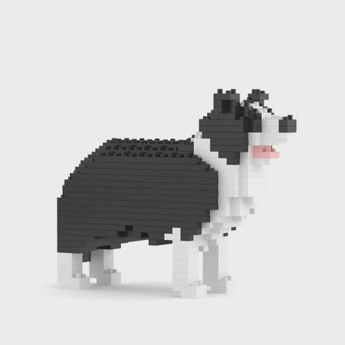 JEKCA | BORDER COLLIE MINI 01S