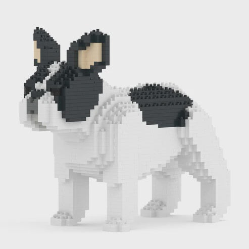 JEKCA | FRENCH BULLDOG 02S M04