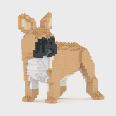 JEKCA | FRENCH BULLDOG 03S M01