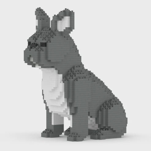 JEKCA | FRENCH BULLDOG 04S M05