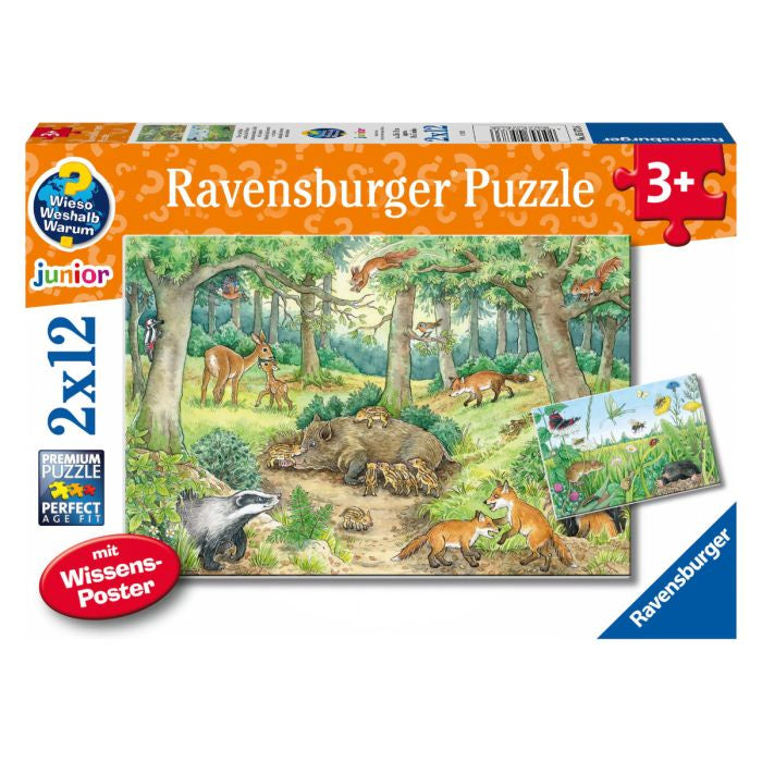 RB (3+) 12X2 | ANIMALS IN FOREST & MEADOW