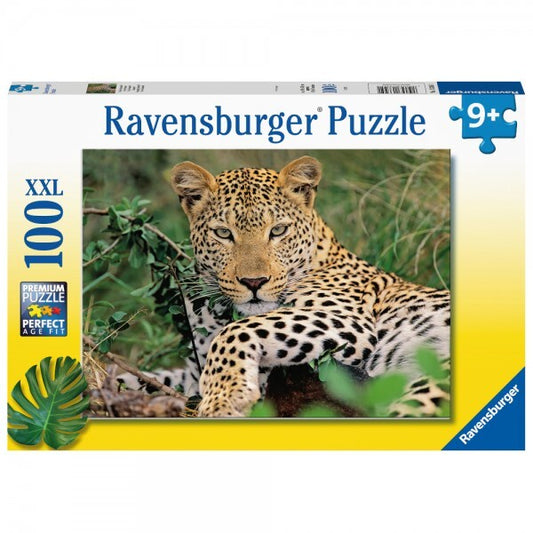 RB (6+) 100 PC | LOUNGING LEOPARD