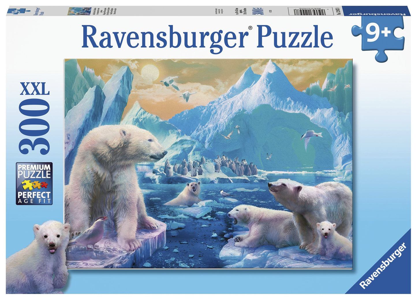 RB (9+) 300 PC | POLAR BEAR KINGDOM