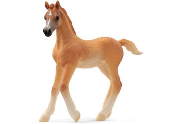 SCHLEICH | ARAB FOAL