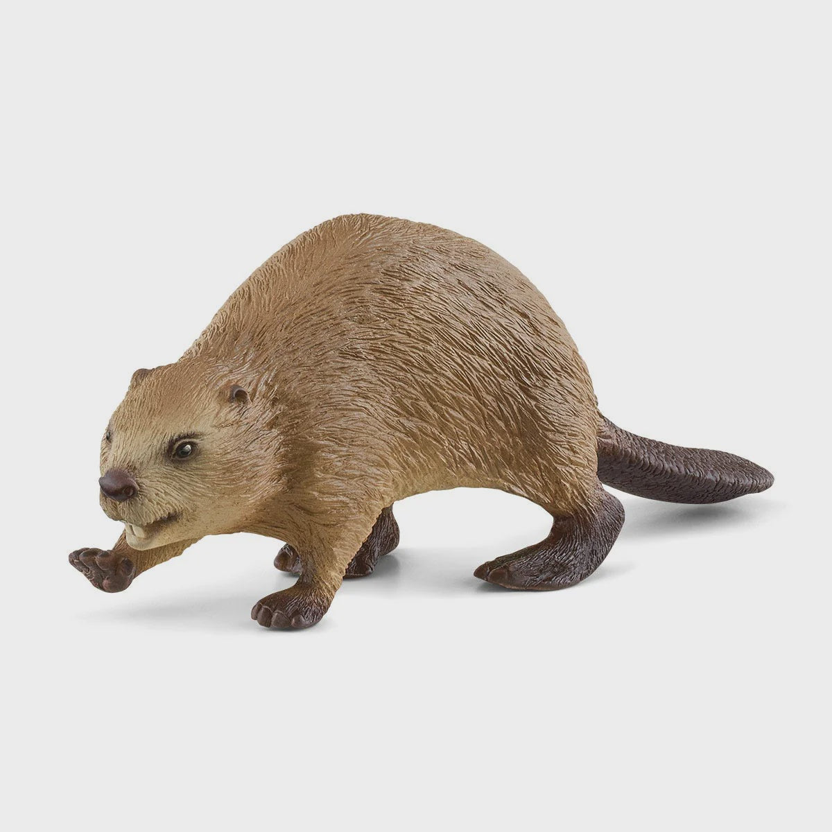 SCHLEICH | BEAVER