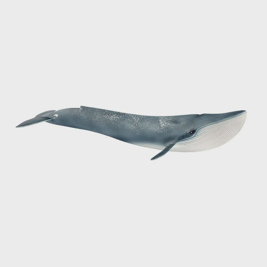 SCHLEICH | BLUE WHALE