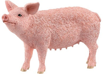 SCHLEICH | PIG