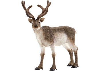 SCHLEICH | REINDEER