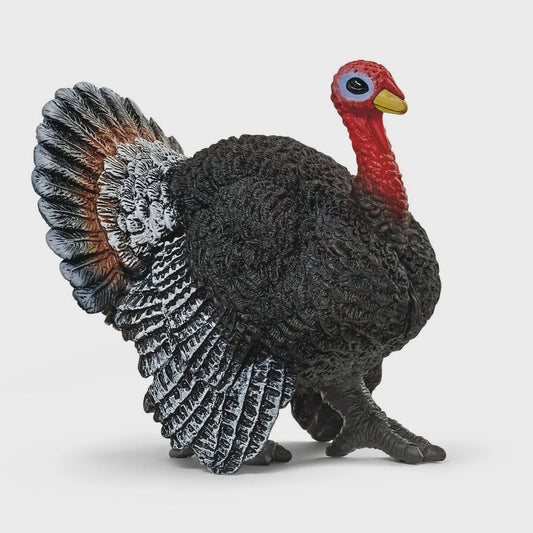 SCHLEICH | TURKEY