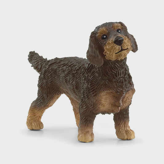 SCHLEICH | WIRE HAIRED DACHSHUND